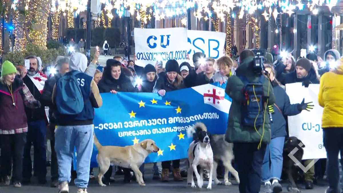 აქცია თბილისში