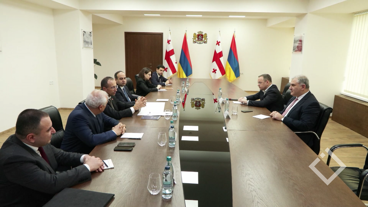 მიხეილ სარჯველაძისა და სომხეთის ჯანდაცვის მინისტრის შეხვედრა